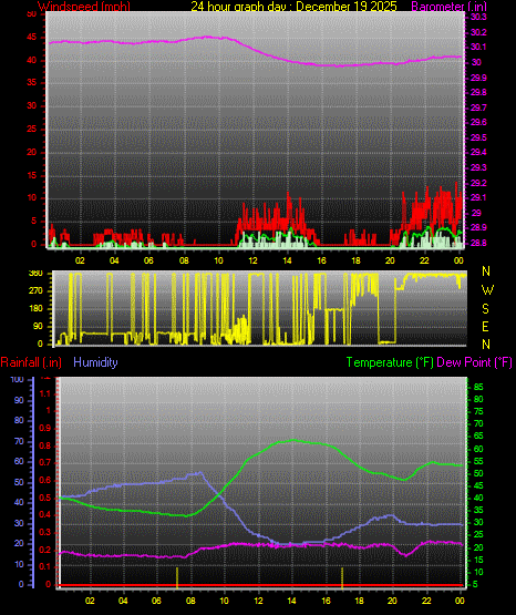 24 Hour Graph for Day 19