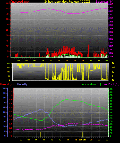 24 Hour Graph for Day 10