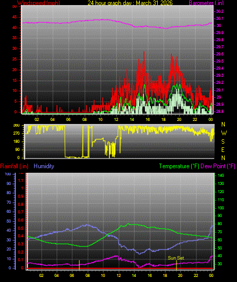 24 Hour Graph for Day 31